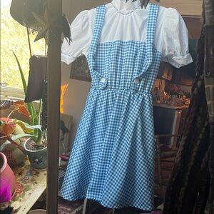 Blue and White Dorothy Gingham Dress Costume